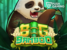 Casino slot free game5